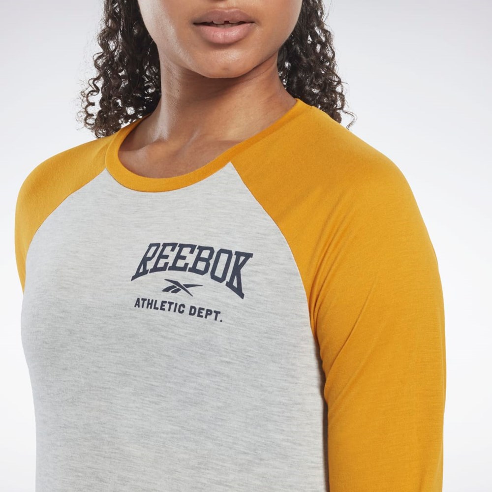 Reebok Workout Ready Baseball T-Shirt Głęboka Szare | KCQT-80569